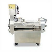 Automatische, zeer nauwkeurige fruit- en groentesnijmachine, elektrische hakselaar 110V/220V voor pompoen, kokosnoot, mango, sperziebonen