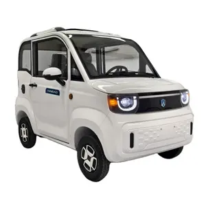 Carro elétrico de 4 rodas para carros pequenos, preço de fábrica, 3000w, 45km/h, bateria de chumbo-ácido 60V58Ah, UE CEE L6e-BP COC