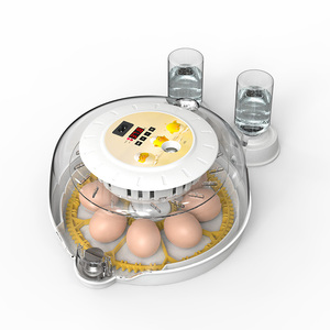 Petite <span class=keywords><strong>machine</strong></span> à couver les œufs, capacité de 8 œufs, incubateur à œufs de poulet, <span class=keywords><strong>couveuse</strong></span> automatique avec retournement des œufs - Product Image 4