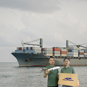 Quốc Tế Vận chuyển hậu cần công ty trong QUẢNG CHÂU/thâm quyến/Thượng Hải vận chuyển hàng hóa giao nhận DDP ddu - Product Image 1