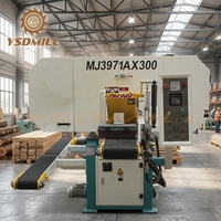 Scie à ruban horizontale avec moteur 15KW 380V, largeur maximale 300mm pour le travail du bois