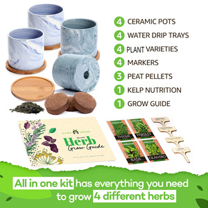 Kit <span class=keywords><strong>de</strong></span> culture <span class=keywords><strong>de</strong></span> plantes d'intérieur avec marqueurs <span class=keywords><strong>de</strong></span> plantes <span class=keywords><strong>en</strong></span> métal, cadeau d'anniversaire pour femmes, vente <span class=keywords><strong>en</strong></span> gros - Product Image 3