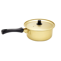 Marmite coréenne en aluminium multifonctionnelle avec couvercle, double poignée dorée, pour nouilles, soupes et ragoûts, idéale pour la maison