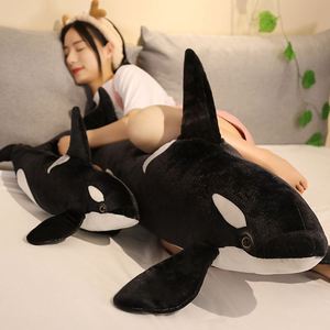 ตุ๊กตาฉลามวาฬน่ารัก นุ่มนิ่ม บรรจุใยฝ้าย PP ของขวัญวันเกิด - Product Image 5