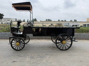 Carroza Fúnebre Eléctrica Negra con Cubierta de Vidrio / Carroza para Ataúd Tirada por Caballos - Product Image 2