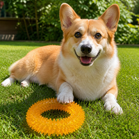 Jouet à mâcher interactif pour chien TPR avec anneau couineur, design classique moderne, pour le nettoyage des dents, disponible