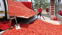Grote capaciteit hot selling tomaat saus productielijn tomatensaus verwerking machines