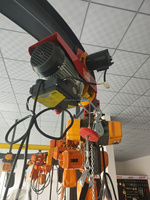 Polipasto eléctrico personalizado de 220V Pa300 Cabrestante eléctrico 300kg Mini polipasto eléctrico de cable