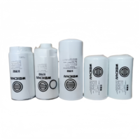 Nouvel élément filtrant à carburant basse pression pour gaz naturel GNL Weichai de haute qualité pour camions HOWO/Shacman 1000428205 10000535
