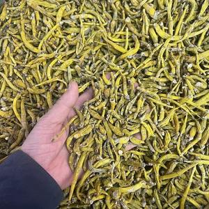 <span class=keywords><strong>Huya</strong></span> Dendrobium y Golden Fork Dendrobium Origen y estilo de suministro Tipo de procesamiento seco Crudo - Product Image 3