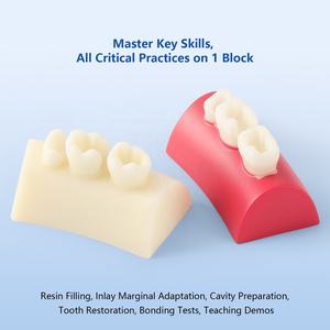 Resina composita che riempie i denti radica del canale di preparazione del simulatore di intarsio dentale blocco di esercizio - Product Image 6