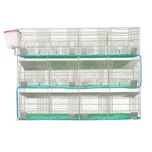 Cage à lapin de type européen pour bétail Cage d'élevage Cage galvanisée à froid Offre Spéciale