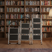 Échelle pliante portable de style moderne, capacité de charge de 300 kg, en acier inoxydable/aluminium/acier, pour supermarché, escalier, salle de sport, extérieur
