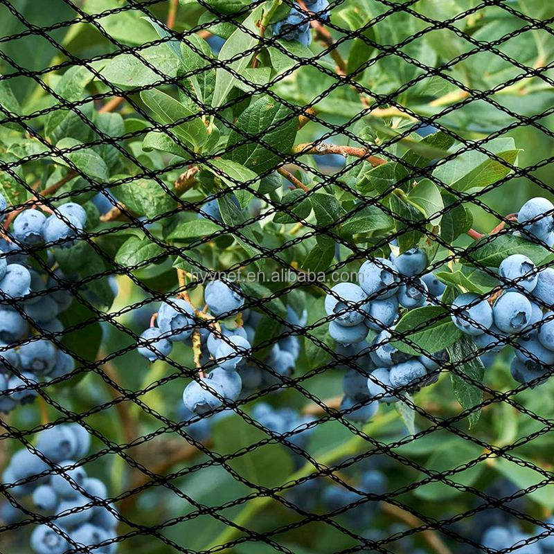 Agricultural Hdpe Anti-bird Net For Vegetables Fruit Protection /bird Net Farming Customized Accept