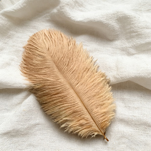 15-20 cm Plumes <span class=keywords><strong>d</strong></span>'<span class=keywords><strong>autruche</strong></span> de haute qualité pour vêtements <span class=keywords><strong>D</strong></span>écorations Vases faits à la main <span class=keywords><strong>D</strong></span>écorations de vacances de mariage <span class=keywords><strong>D</strong></span>écoration de fête à la maison - Product Image 6
