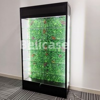Smoke Shop Supplier Glas vitrine mit LED-Beleuchtung Full Vision Showcase mit verstellbaren Regalen Smoke Shop Showcases