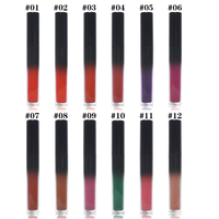 Dropshipping Brillant à Lèvres Imperméable Personnalisé de Marque Privée Maquillage Vegan 24 Heures Rouge à Lèvres Mat Longue Durée