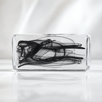 Brique de verre personnalisée à motif encre solide avec garantie de 5 ans pour la décoration des halls d'hôtel et des cloisons commerciales
