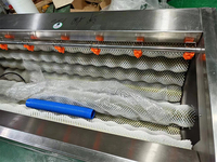 Industriële borstelrol wassingmachine voor wortelen, radijsjes, verse gember, taro, zoete aardappel