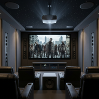 Fabricant professionnel de systèmes home cinéma développe, conçoit et produit des solutions acoustiques pour les systèmes de haut-parleurs métalliques