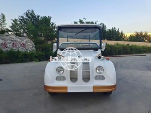 Minibús Turístico Eléctrico para Recorridos Urbanos, con Pedales, Batería de Plomo-Ácido, de 4 a 17 Asientos - Product Image 2
