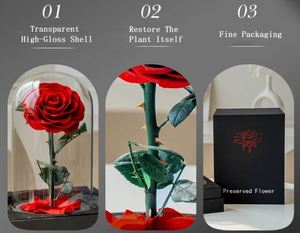 Decoraciones Navideñas para Mujer, Cúpula de Cristal con Rosas y Luces LED, Regalos para el Día de la Madre y el Día del Maestro, Recuerdos de Boda - Product Image 2