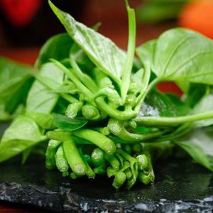 Hojas de pimienta de Jamaica frescas de primera calidad en forma de polvo vegetal crudo 1kg <span class=keywords><strong>verde</strong></span> Bencao Yutang para procesamiento de alimentos y condimentos - Product Image 5