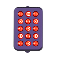 Panel Lampu Merah Kamar Mandi Tahan Air IP65 660nm 850nm Terapi Cahaya Led Mini Inframerah Dekat Portabel