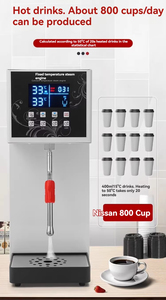 Mousseur à lait professionnel à vapeur unique à température constante, disponible en OEM, pour café - Product Image 4