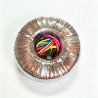 Transformateur toroïdal à isolation audio 300W 500W 1000W 50 60Hz 110V-240V Entrée 20V 45V pour équipements médicaux et audio