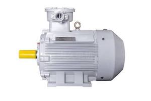 มอเตอร์ป้องกันการระเบิด YBX3 IE3 มอเตอร์เหนี่ยวนำสามเฟส Exd IIB T4 - Product Image 2