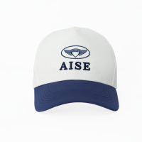 Gorra Trucker de Malla Bicolor AISE al por Mayor, Gorra de Béisbol Perforada y Bordada, Ajustable, para Deportes al Aire Libre, Compatible con Logotipo OEM