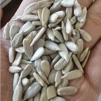 Produsen Cina Multi rasa biji bunga matahari goreng atau panggang