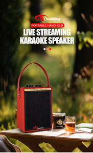 Eurusom V6 6 "ad alta potenza esterna di piccole dimensioni Multi-funzione Wireless <span class=keywords><strong>K</strong></span> OK microfono Party altoparlante - Product Image 5