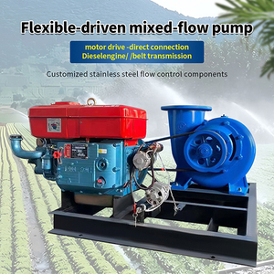 Bomba de Flujo Mixto de Hierro para Motor Diésel de Gran Calibre, Diseñada a Medida para Agricultura Eficiente a Alta Presión - Product Image 4