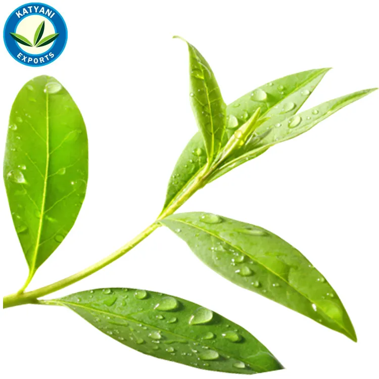 Tea Tree Olie Katyani Export De Beste Fabrikanten Uit India
