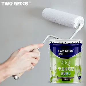 2 Gecco Factory Direct Sale Home Interior Decor High Covering Wall Paint