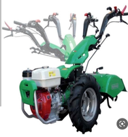 Motoculteur agricole italien de type BCS avec rotoculteur