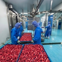 Hoogwaardige bulk gevriesdroogde aardbeien 100% natuurlijk gezond kant-en-klaar fruit snacks 1kg 18 maanden houdbaarheid groothandel