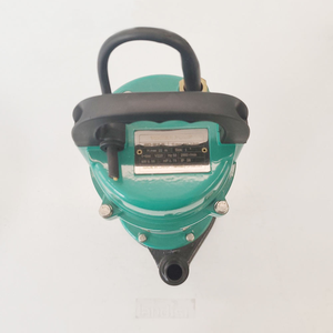Pompe à eau centrifuge submersible auto-amorçante Qdx Landis avec boîtier en fonte pour l'irrigation agricole - Product Image 2