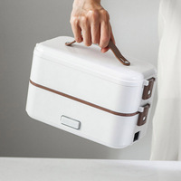 Chauffe-plats portable pour voiture, cuiseur à riz électrique, boîte à lunch vapeur, mini-réchaud 2 couches, multifonction minimaliste