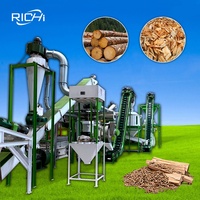 Ligne de production de granulés de paille de manioc RICHI, machine à granulés de biomasse