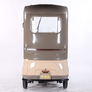 Trike électrique à <span class=keywords><strong>3</strong></span> <span class=keywords><strong>roues</strong></span> à corps ouvert pour adultes toit fermé avec roue adulte Tuk Triciclo enceinte pour le transport - Product Image 3