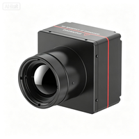 Caméra thermique infrarouge ISE1212 directe usine, capteur micro-module infrarouge automobile pour prise en charge SDK multiplateforme