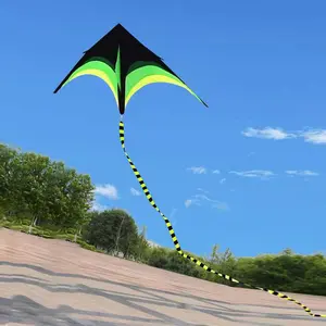 Best selling kites supplier outdoor kite flying well good quality big size new model kite ODM