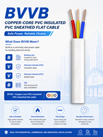 Bvvb Flacher Massiver Kupferdraht 450/750V 2*2,5mm 2-Adrig AWG PVC-Isoliert Industriell IP20 Elektrisch Hausbau