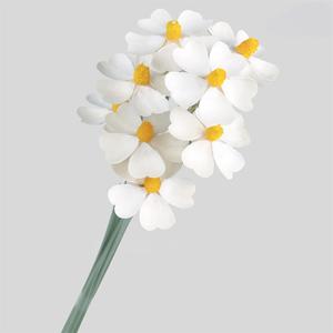 Bouquet de fleurs de violette séchées naturelles, Matériel artisanal floral DIY, Fleurs séchées multicolores pour arrangements floraux DIY - Product Image 6