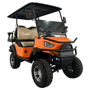 WINTAO 2024 Golf Cart 4 Seater Factory Direct Sales 4 Wheel Drive 4x4 Golf Cart With Foldable Back Seat And Windshield