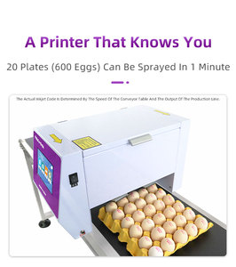 Nueva Impresora de Inyección de Tinta UV XP600 de 6 Cabezales para Huevos, Codificación Automática de Bandejas Completas con Impresión de Patrones y Logotipos Personalizados - Product Image 3
