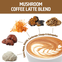 Poudre de café aux dix champignons biologiques naturels instantanés à marque privée : Crinière de lion et Reishi